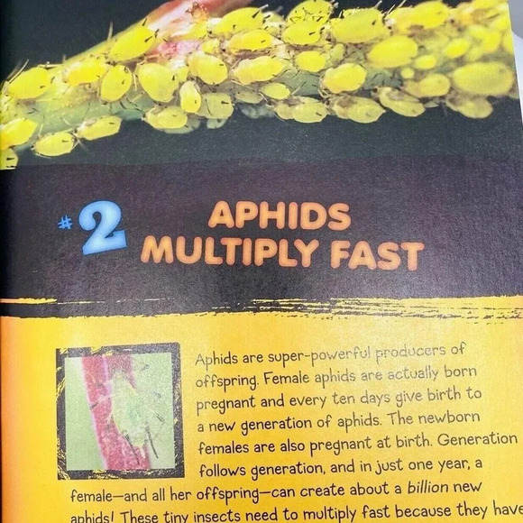 101 ANIMAL SUPERPOWERS Discover Which Creatures Have Coolest Tricks - Picture 2 of 6